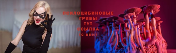 МДПВ Беломорск